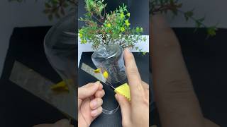 Why is not patented This is great tool ideas by recycle plastic bottle waste diy tips recycle [upl. by Sanbo647]