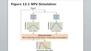 Risk in Capital Budgeting Chapter 12 [upl. by Eggleston]