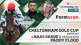 Cheltenham Gold Cup Antepost amp Naas Grade 1 preview with Paddy Flood  Formscan on irishracingcom [upl. by Viridissa]