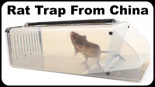 Catching A Huge Rat With A Plastic Trap From China Mousetrap Monday [upl. by Aynuat]