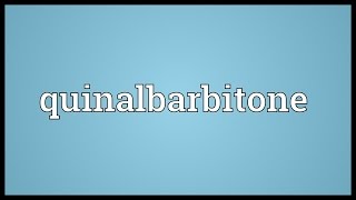 Quinalbarbitone Meaning [upl. by Yvad703]