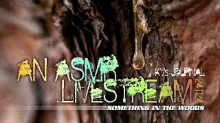 LIVE ASMR Livestream Something In The Woods [upl. by Kahn]