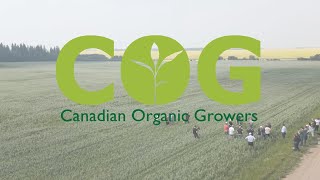 Canadian Organic Growers  Regenerative Organic Oats [upl. by Chrisy763]