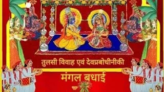 Tulsi Vivah🌱  Dev Uthani Ekadashi govardhan trending PushtiVachanamrut Pushtivrund [upl. by Nilam]