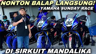 BLUCRU YAMAHA SUNDAY RACE 2024 MANDALIKA INTERNATIONAL CIRCUIT [upl. by Forward]