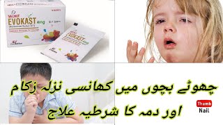 Evokast 4mg Sachets Uses Side Effects Dossage In Urdu Hindi How To Use Evokast 4 mg Sachets [upl. by Onimixam323]