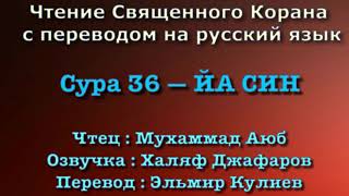 Сура 36 — ЙА СИН  Мухаммад Аюб  с переводом [upl. by Astri]