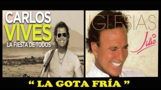 2x1 LA GOTA FRÍA  CARLOS VIVES Y JULIO IGLESIAS Audio [upl. by Dorree]