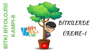 Bitki biyolojisi 8 Bitkilerde üreme [upl. by Yadrahs]