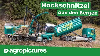 Lener Hackgut  Die Hackschnitzel Profis aus Tirol  Teil 1  JENZ Hacker mit 1300 PS [upl. by Akived333]