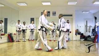 ITF TaekwonDo  Master Don DaltonsparringClip 3 [upl. by Lenra]