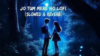 Jo Tum Mere Ho Lofi  Slowed amp Reverb  Anuv Jain [upl. by Thema]