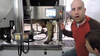 Little Qualicum Cheeseworks Robotic Cow Milker [upl. by Nnylirret410]