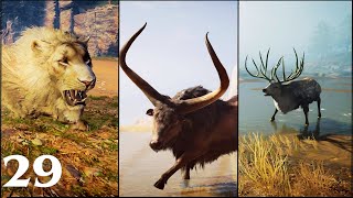 Nemean Lion Kretan Bull Hind of Keryneia  AC Odyssey Walkthrough Part 29 No Commentary [upl. by Josie382]