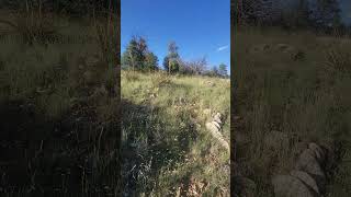 9424 hike Prescott Arizona A short trail exploring hike ✨️🌞nature desertmountain video [upl. by Cook]