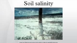 Soil salinity [upl. by Darda]