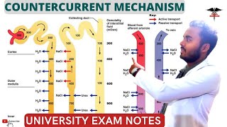 Countercurrent Mechanism  Countercurrent Multiplier  Countercurrent Exchanger Symstem [upl. by Asert667]