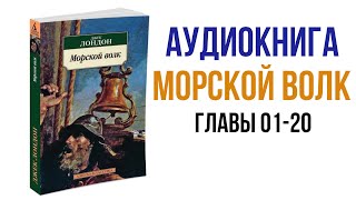 Джек Лондон Морской волк Аудиокнига аудиокниги литература [upl. by Eineeuq]