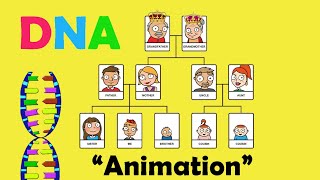 DNA DEOXYRIBONUCLEIC ACID  Biology Animation [upl. by Zed5]