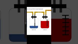 How to Manage Pneumothoraces [upl. by Epp316]