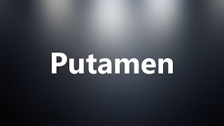 Putamen  Medical Definition and Pronunciation [upl. by Chor902]