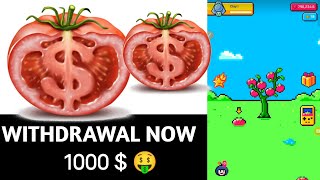 tomarket se money withdraw Kaysei kare  finaly tomarket Tomato Air dop lunch 🤟🤑  1000  🤑 [upl. by Ranson52]