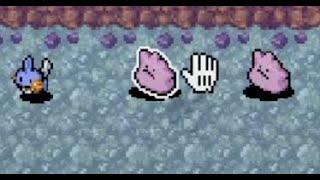 YouTube comments kept telling me to try Mudkip Reroll I found TWO Dittos the rest is history [upl. by Chapin]