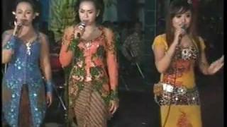 pepelingikifmuryanijekiby Campursari Tokek Sekar Mayankcall628122598859 [upl. by Micaela686]