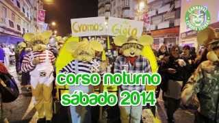 Carnaval Torres Vedras 2014  Corso Noturno  Concurso Mascarados [upl. by Teleya815]