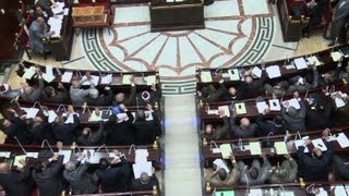 Egypt charter keeps sharia as main source of law [upl. by Felicidad430]