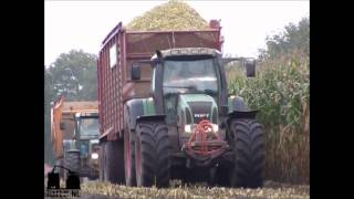 wwwtrekkertrekkernl  Mais hakselen met Loonbedrijf van den Hout [upl. by Inaoj]