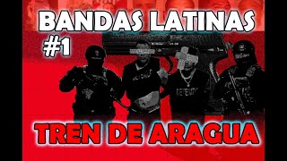 BANDAS LATINAS TREN DE ARAGUA [upl. by Annaya]