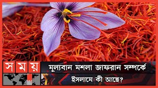 ১ কেজি জাফরানের দাম ৪ থেকে ৫ লাখ টাকা কেন   Saffron  Why Saffron is So Expensive  Somoy TV [upl. by Nnav268]