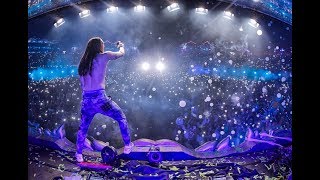 Steve Aoki Live At Tomorrowland 2017 [upl. by Brooking]