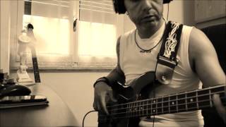 Selah Sue Raggamuffin  bass cover [upl. by Euqinobe]