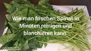 Reinigen und blanchieren von frischen Spinat einfach amp schnell in wenigen Minuten grün amp gesund [upl. by Mozart]