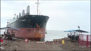 MV One Happy Ship Beaching At Alang Ship Breaking Yard 🫂🚢 [upl. by Nisbet]