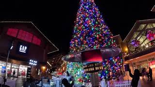 Is Utahs Tallest Christmas Tree Worth Visiting [upl. by Molohs891]