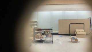 What Remains At The Empty Rite Aid [upl. by Linzer]