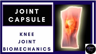 knee joint capsule layers and function made easyknee biomechanics physiotherapy tutorials [upl. by Ruamaj716]