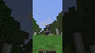 Minecraft mais dès quelquun sabonne mon jeux devient de plus en plus réaliste minecraft shorts [upl. by Nnylyak]