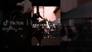 horse horseshowlife horseenthusiast equestrian horseplay horsefan edit [upl. by Leziar158]