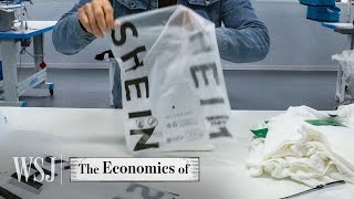 How Shein Built a 66B FastFashion Empire  WSJ The Economics Of [upl. by Tserrof976]