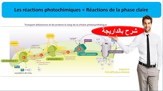 Les réactions de la phase claire  les réactions photochimiques la photosynthèse شرح بالداريجة [upl. by Okihsoy]