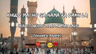 🕋Khuld Me Hoga Hamara Dakhla Ya Rasool Allah SlowedReverb 🎧 Naat Lofi Molana Mumtaz Qadri slowed [upl. by Clemmy]