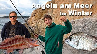 Angeln am Meer auf der Insel Elba  Meeresangeln im Winter im Mittelmeer das erste Mal Angeln 2024 [upl. by Tserrof]