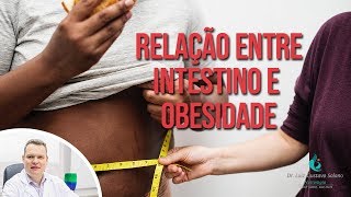 Relação entre Intestino e Obesidade [upl. by Margaretha]