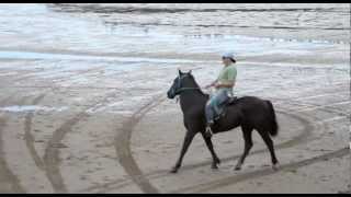 Matakana Island Beach Race [upl. by Talyah]