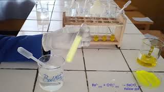 Test for Chromate ion [upl. by Standley]