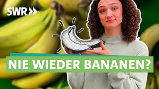 Superfood Banane Können wir die Südfrucht noch retten I Ökochecker SWR [upl. by Nnylyrehc]